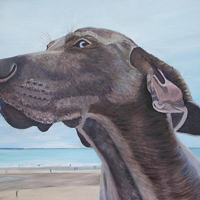 Les vacances d 'Hély